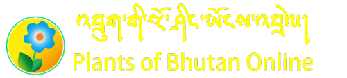 Plants of Bhutan Online